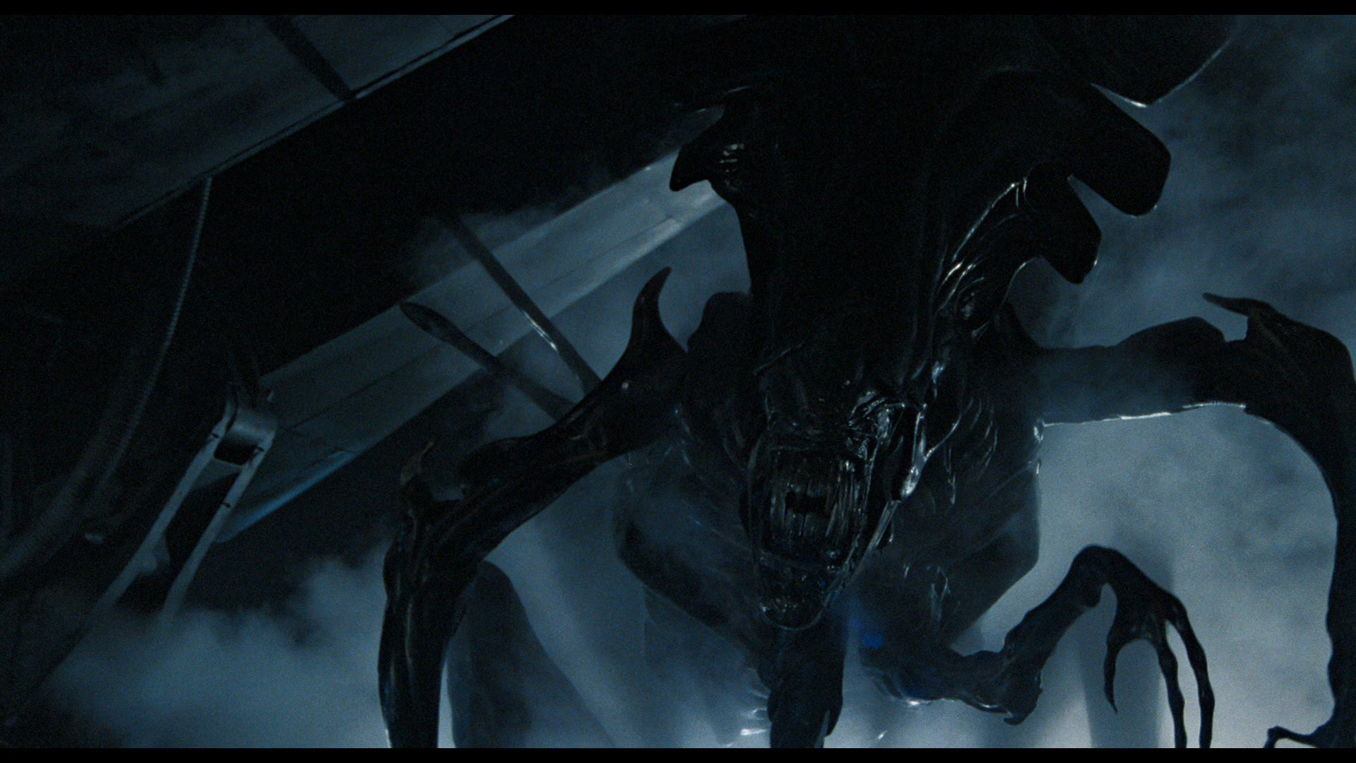 Image - Aliens 21.jpg | Xenopedia | FANDOM powered by Wikia