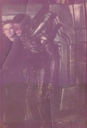 BTS with Badejo and Giger