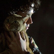 Jones Cat Xenopedia Fandom