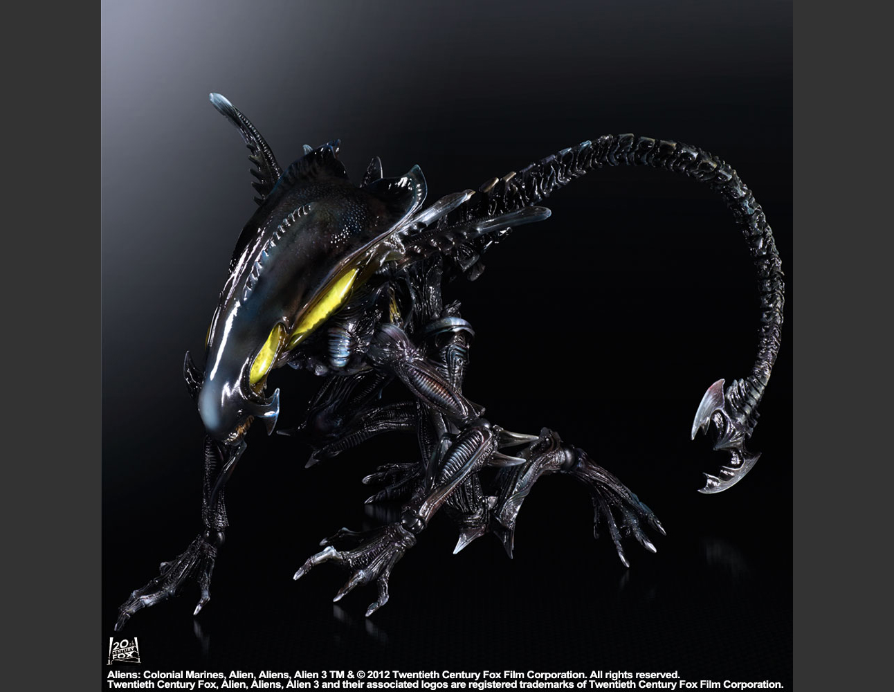 Xenomorph Arten Xenomorph Arten