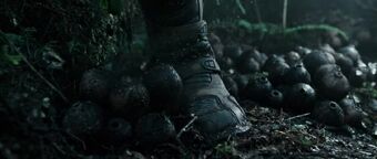 Neomorph Xenopedia Fandom