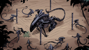 Xenotrap