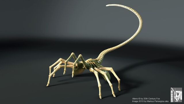 Datei:Facehugger posetest01 sm.jpg