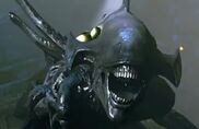 Spitteroh.hai.dere