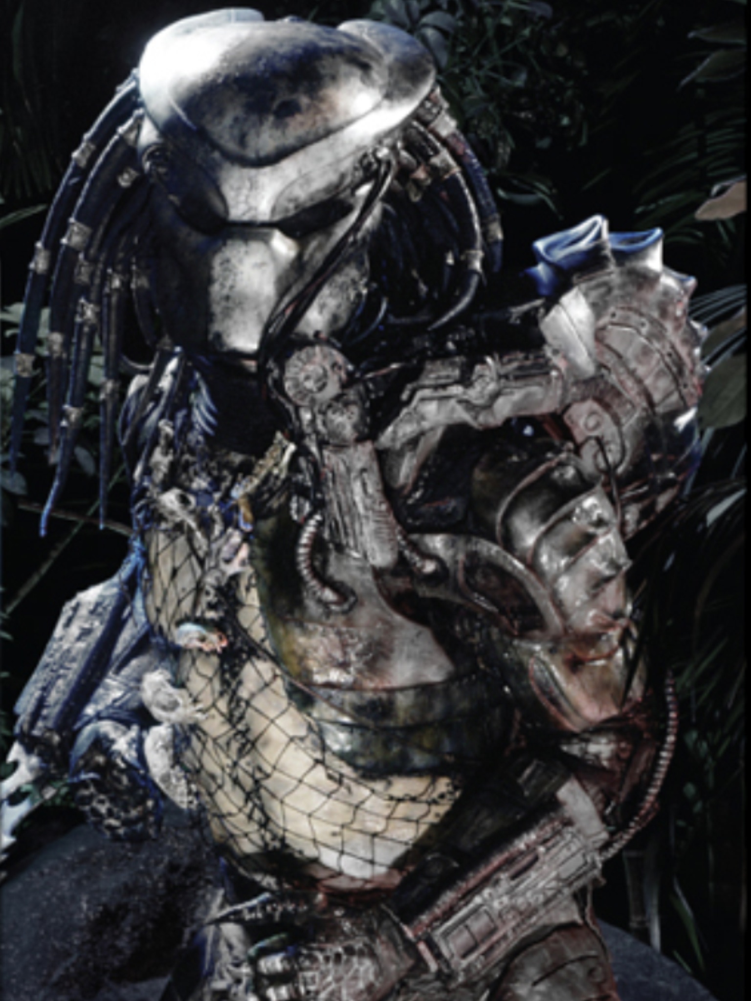 download the predator xenomorph download the predator xenomorph