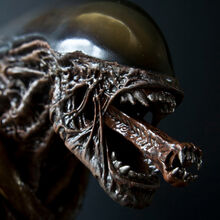 Inner Jaw Xenopedia Fandom