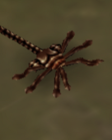 Praetorian Facehugger Xenopedia Fandom