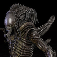 Inner Jaw Xenopedia Fandom