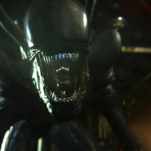 Alien Isolation Xenomorph Model