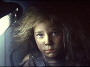 カテゴリ Wikipediaからの記事 Avp Wiki Fandom