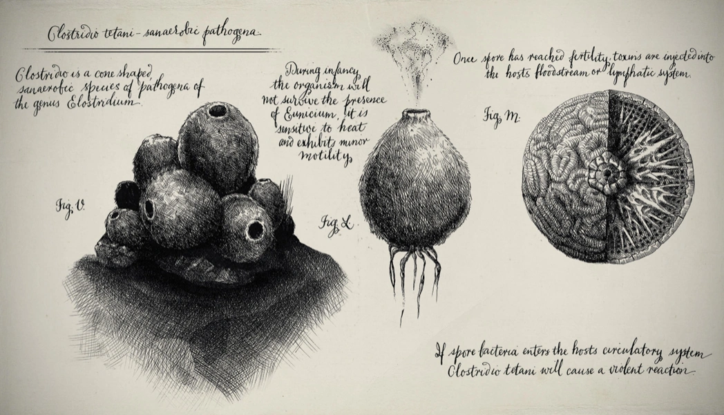 Puff Spores Xenopedia FANDOM powered by Wikia