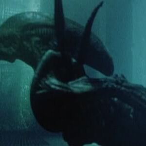 Alien Resurrection Cloned Xenomorph