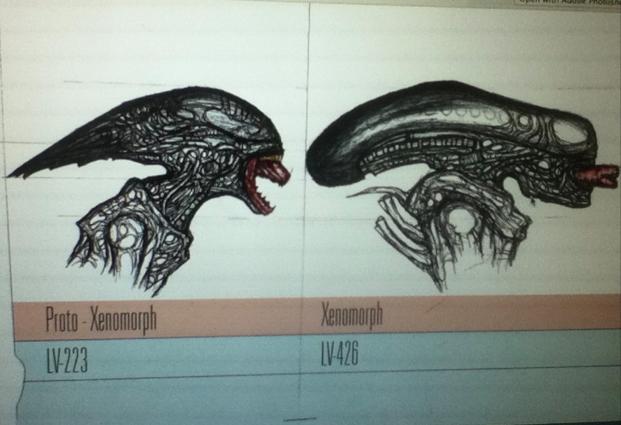 Понятие чужой человек. Чужой Ксеноморф Эволюция. Xenomorph Life Cycle. Диакон Ксеноморф Deacon Xenomorph.