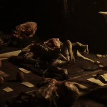 David S Experiments Xenopedia Fandom
