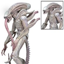 Aliens Neca Xenopedia Fandom