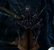 AVP2Empress