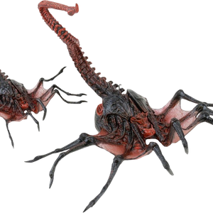Facehugger Xenopedia Fandom