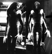 Translucent Alien