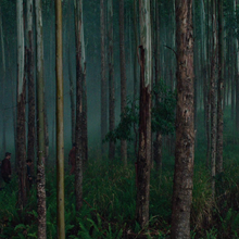Game Preserve Planet Xenopedia Fandom