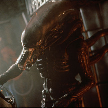 Xenomorph Xx121 Alien Xenopedia Fandom