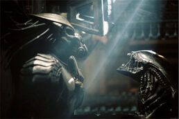 Predator5