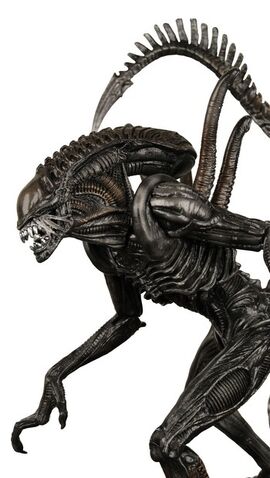 Datei:Uh60967,1268250563,uf535691239648527AlienRequiem.jpg