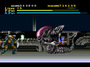 AvPBoss5