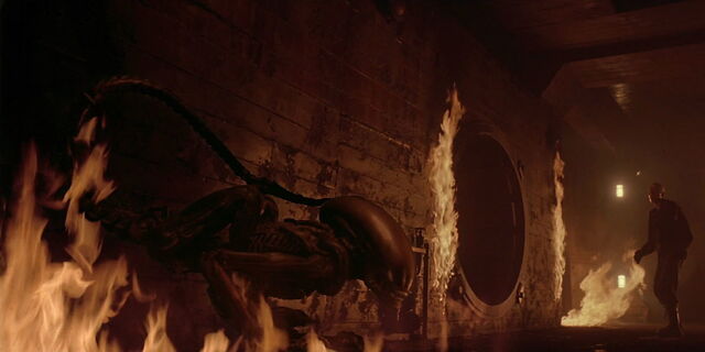 File:A3DC Dragonfire.jpg