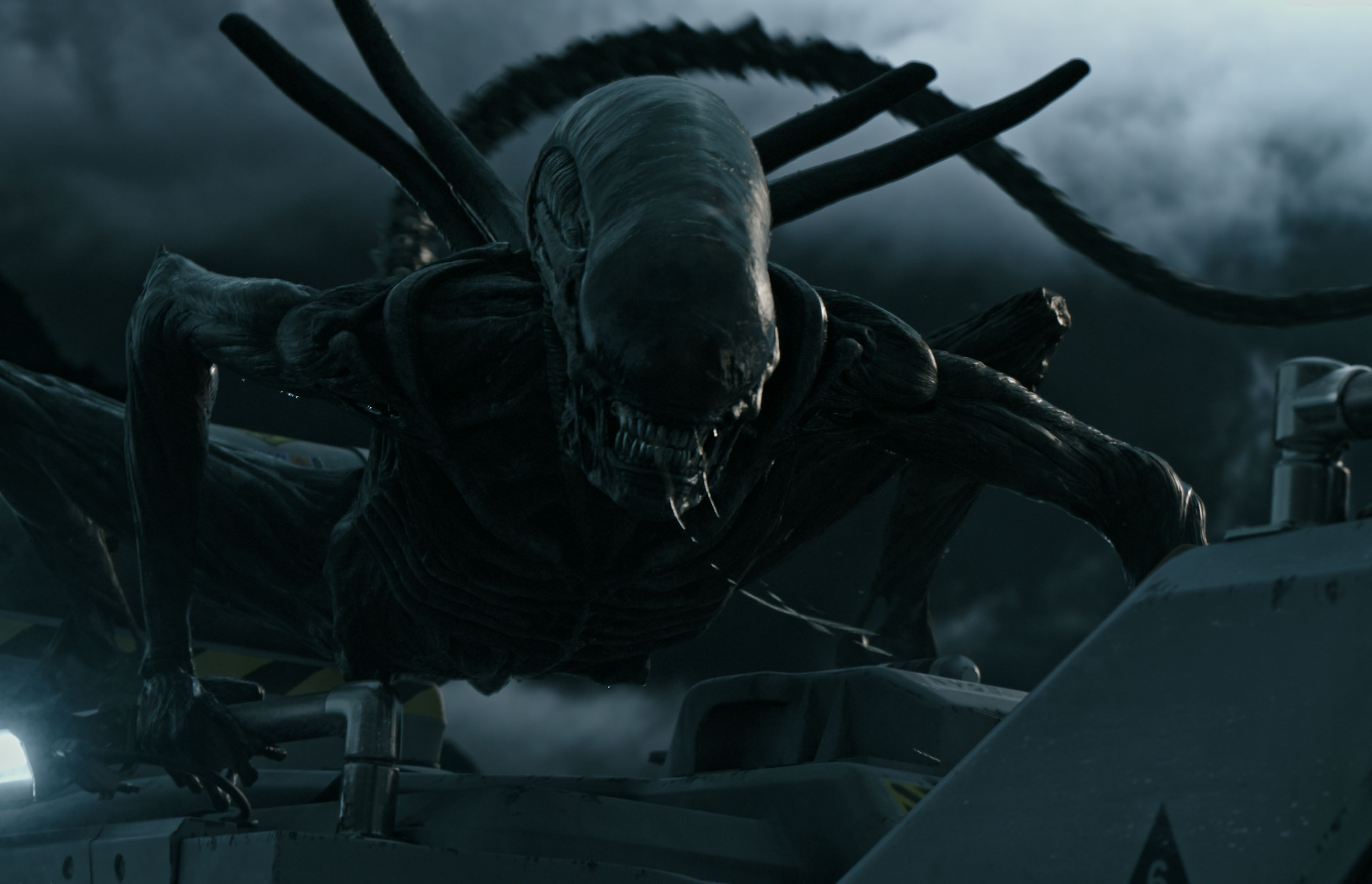 Alien Covenant Xenomorph Actor