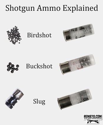 Shotgun ammo types explained