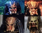 Predator1 fej