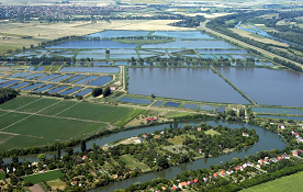 Haltelep