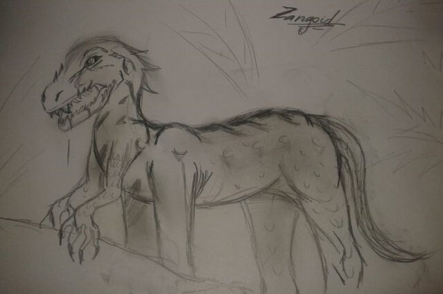 File:Zangoid.jpg