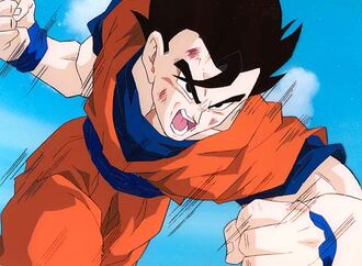 Character Profile - Gohan