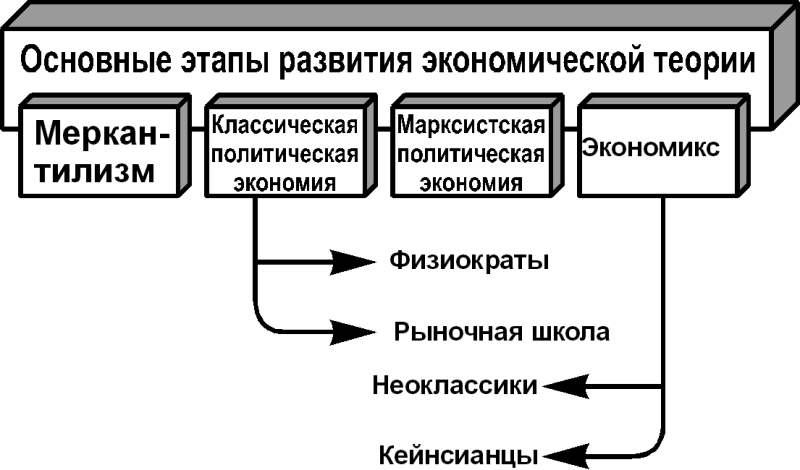 Развитие пыльника кратко