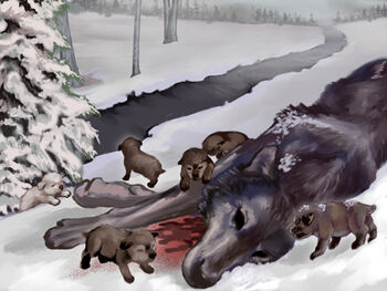 Direwolf pups