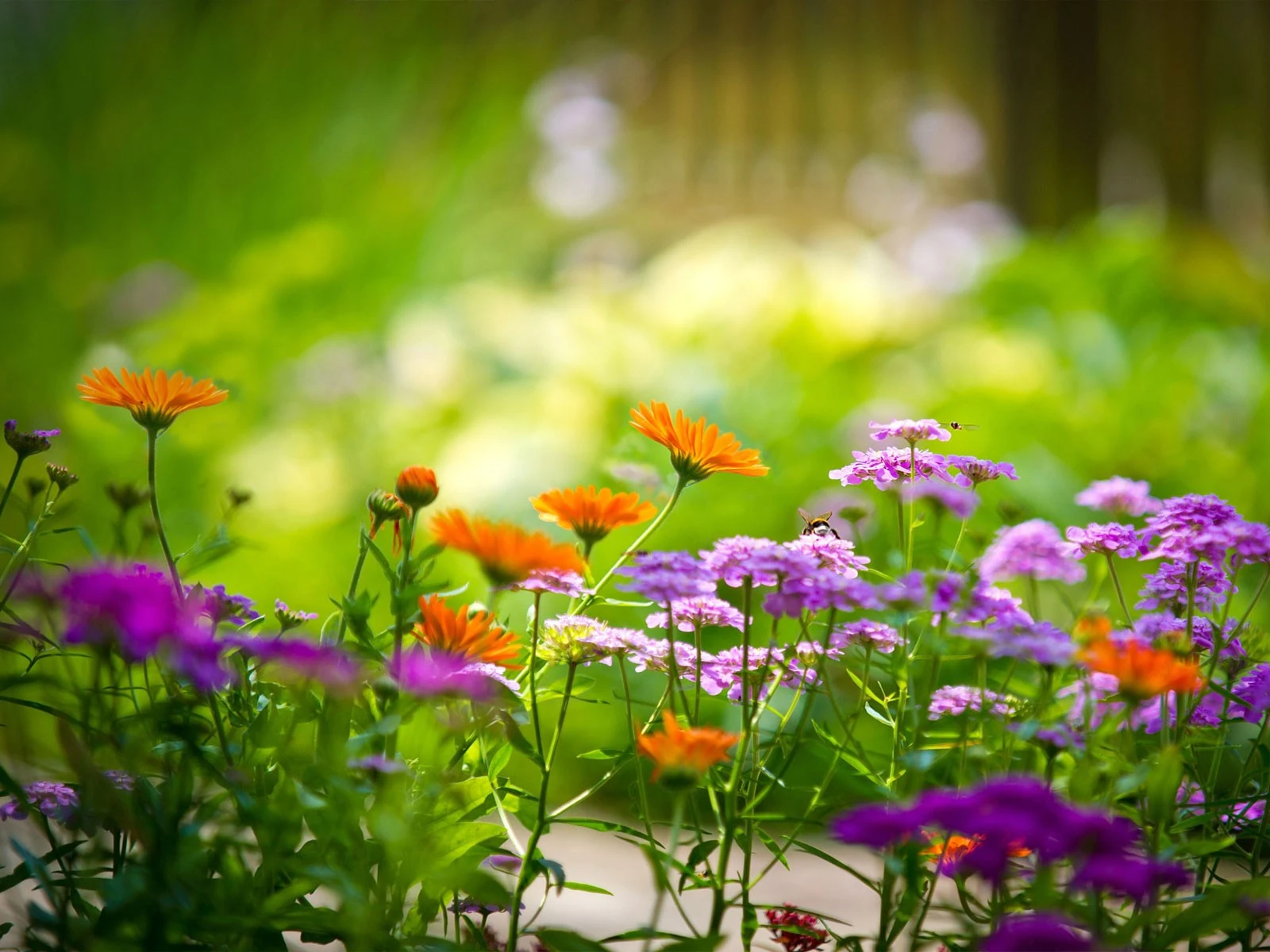 来自大度的信息