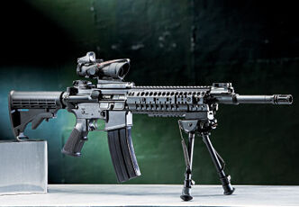 Barrett
