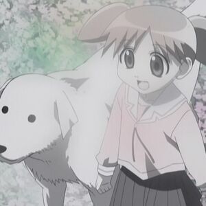 Raspberry Heaven Azumanga Daioh Wiki Fandom