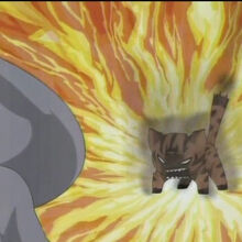 Wallpaper Maya Azumanga Daioh Wiki Fandom Desktop Wallpaper