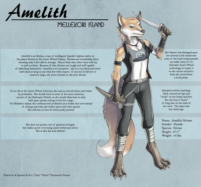 Amelith copy