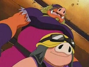 Hogs