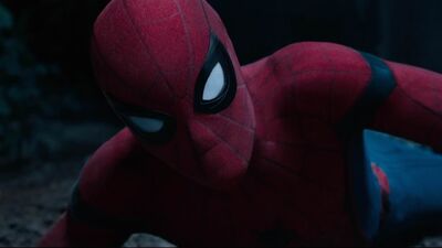 Tom Holland Confirms Spider-Man for 'Avengers: Infinity War'