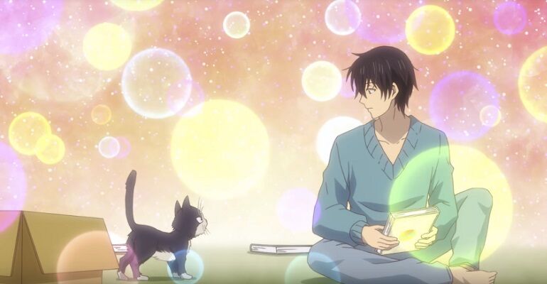 winter 2019 english dubbed anime My Roommate is a Cat