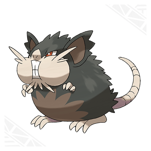 pokemon-sun-and-moon-alolan-raticate