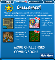 BTD4 New Challenges