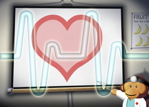 Monkey Heart
