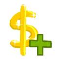 Cash Injection