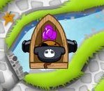 Grape
