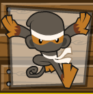 Seeking Shuriken BTD5